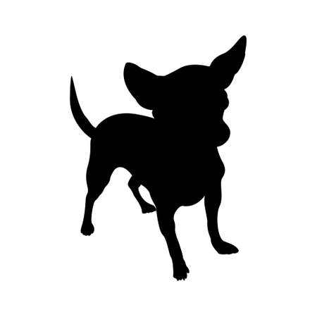 Dog silhouette. Vector illustration of chihuahua isolated on white background.のイラスト素材