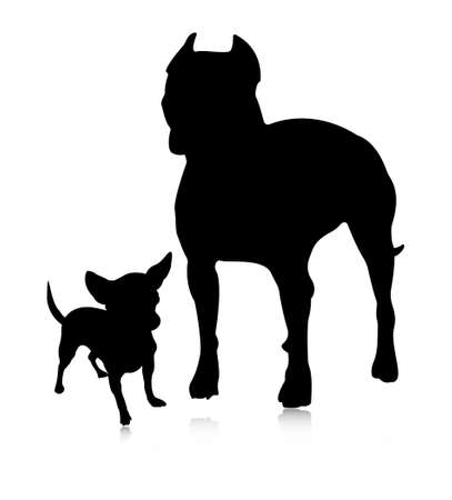 Silhouette of dogs. Vector illustration of chihuahua, american staffordshire terrier and pitbull isolated on white background.のイラスト素材