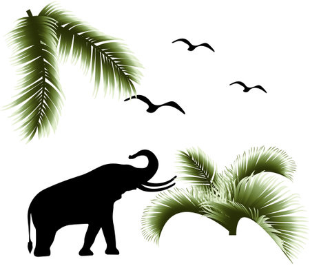 Vector illustration of silhouettes of elephant, birds and palm leaves. Tropical image. Isolated on white background.のイラスト素材