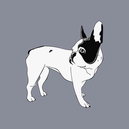 Cartoon vector illustration of a dog. Black and white french bulldog print. Isolated on background.のイラスト素材