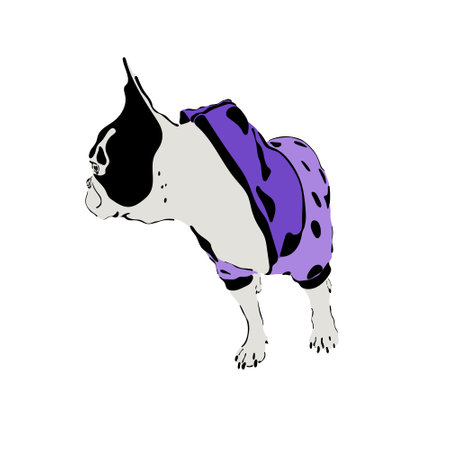 Vector illustration of a french bulldog dressed up in a hoodie. Dog print isolated on white background.のイラスト素材