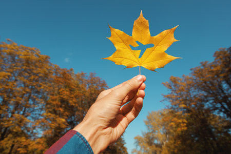 Autumn leaf with a cut in the form of an airplane on a background of the sky