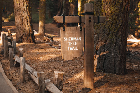 General Sherman Tree trail sign, Sequoia National Park, California, USAの写真素材