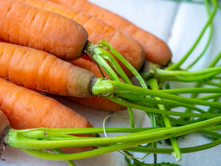 fresh carrots with green leaves on white background. vegetable food.の写真素材