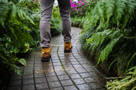 People Walking In Large Greenhouse With Plantsの写真素材