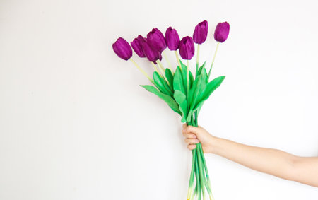 Bunch Of Tulips In Woman's Hands 8 March.の写真素材