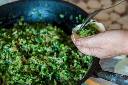 Traditional Chinese dumplings. Cooking homemade dumplings with meat and greens.の写真素材