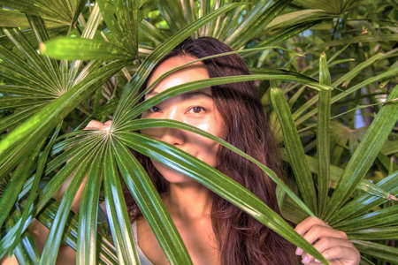 A asian woman is hiding behind palm leaves. Eastern beauty and skin care.