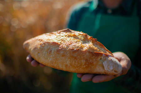Man Farmer Holding Homemade Rustic Wheat Bread In Hands In A Wheat Field.