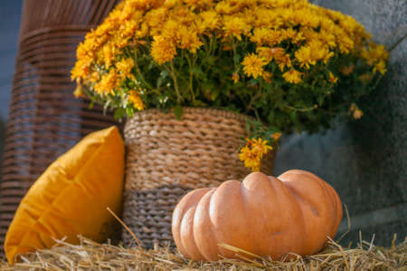 Stylish Golden Halloween Pumpkin Decoration Of Streets, Cafesの写真素材