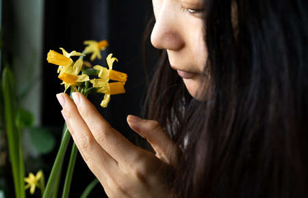 Closeup Shot Of Beautiful Narcissus Flower At Home.の写真素材