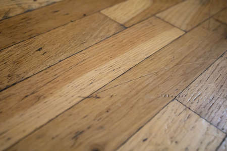 Grunge Wood Panels. Planks Background. Old Wall Wooden Vintage Floorの写真素材