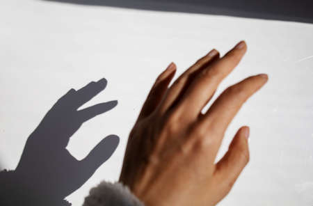 A Blurred Shadow Of A Hand On A White Wall, The Shadow Of A Woman's Hand From Sunlightの写真素材