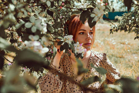 Portrait Of A Young Beautiful Girl In A Flowering Tree. Beauty Of Springtime.の写真素材