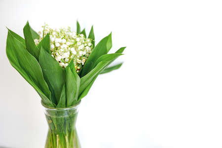 Spring Bouquet Of Lilies Of The Valley On White Backgroundの写真素材