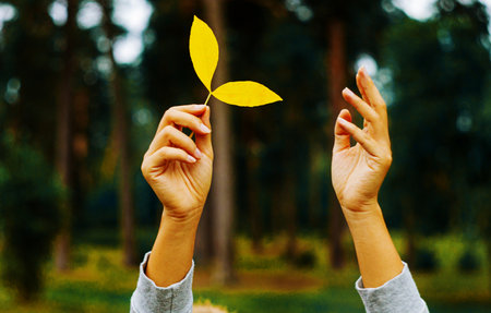 Autumn Leaves In Girl Hands