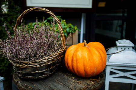 Pumpkin Decor For Halloween And Thanksgiving Day.の写真素材