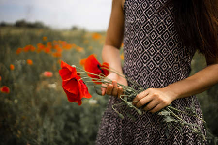 Woman With A Bunch Of Red Poppies In Field.の写真素材