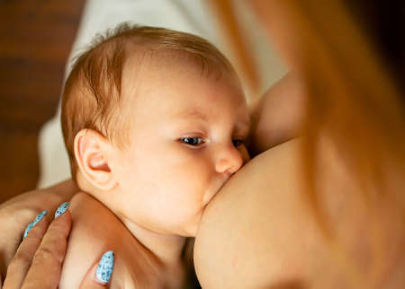 Caucasian Mother Breastfeeding Baby Son On Sofaの写真素材