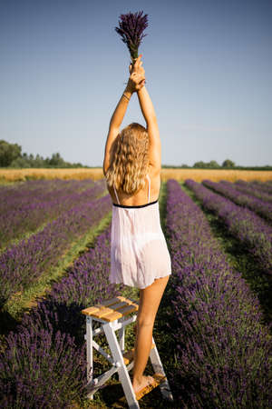 Beautiful Woman In A White Dress Walks In The Lavender Fieldの写真素材