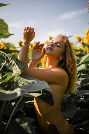 Beautiful Young Woman In A Field Of Sunflowersの写真素材