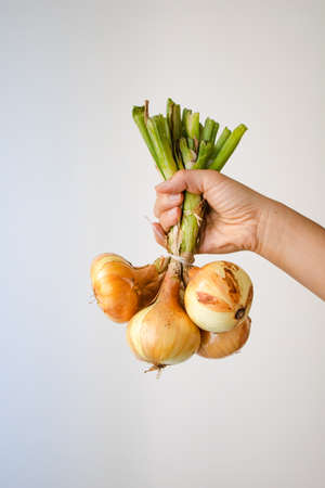 Woman holding fresh onions from the vegetable garden in her hand.の写真素材