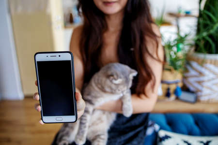 Beautiful Asian Teen Girl With A Cat In Her Arms Holds Her Smartphone At Cozy Homeの写真素材