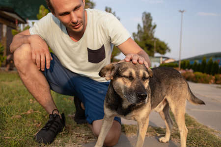 Young Man Volunteer Petting Sad Dog In Animal Shelterの写真素材
