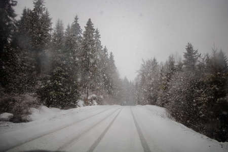 Snow covered trees in winter forest with road