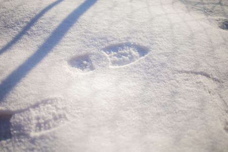 Footprints In Snow. Human Footprints In The Snow. Winter landscape