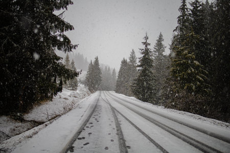 Snow covered trees in winter forest with road