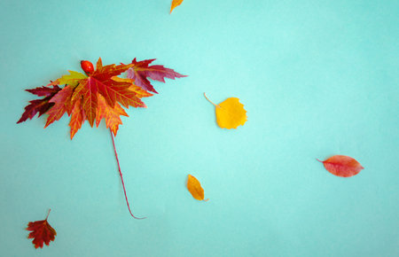 Autumn, fall concept. Creative concept with umbrella made of autumn leavesの写真素材