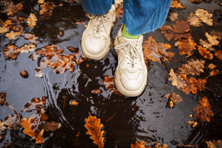 legs close-up in blue jeans and white sneakers standing in a puddle with yellow leaves in rainy autumn in the parkの写真素材