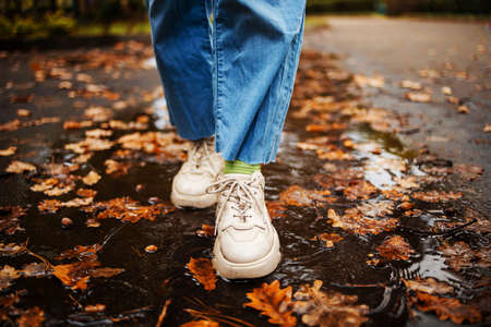 legs close-up in blue jeans and white sneakers standing in a puddle with yellow leaves in rainy autumn in the parkの写真素材