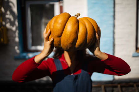 Cute young asian girl famer at the autumn pumpkin patch background. Having fun and posing.の写真素材