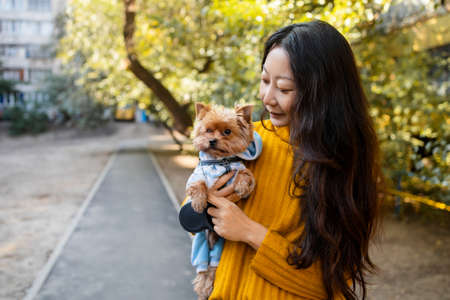 Portrait of a cute asian woman cuddling with a dog in the park on a background of autumn treesの写真素材