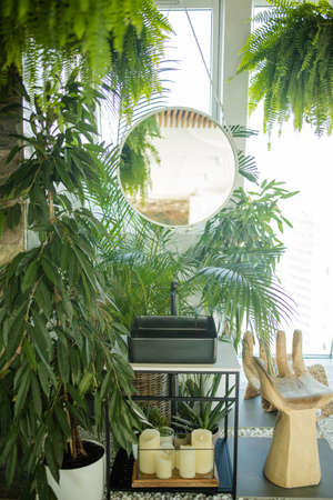 Interior of modern stylish bathroom with green plants.の写真素材