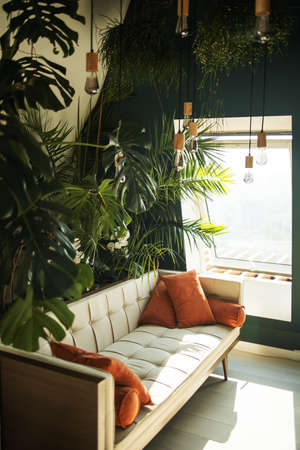 Modern loft living room with plywood wall and wood flooring, retro white leather sofa and potted green tropical fern plants next to a low sill window. interior photo simple urban jungle style.の写真素材