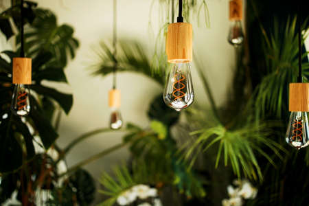 Edison bulbs light design, modern loft interior with green plants.