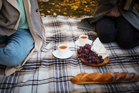 Autumn picnic in park. Plaid with grapes and cheese, coffee cups on golden autumn leaves background top view. Autumn picnic in the park, a warm autumn day.の写真素材