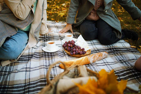Autumn picnic in park. Plaid with grapes and cheese, coffee cups on golden autumn leaves background top view. Autumn picnic in the park, a warm autumn day.の写真素材