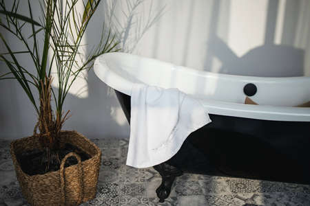 Modern bathroom with gray tiles, plants, luxurious interior background with sunlights.の写真素材