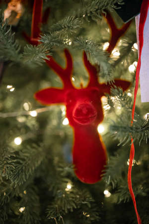 Christmas decorations on spruce branchesの写真素材