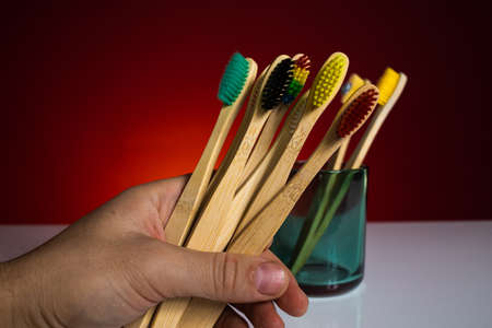 Hand holding set with bamboo toothbrushesの写真素材