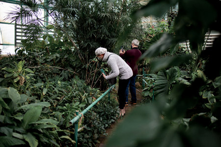 agroengineering in a green house for quality controlの写真素材