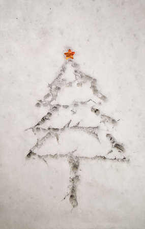 Minimal Christmas tree on the background of snow. View from above with copy space.の写真素材