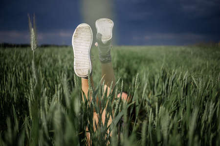 Woman's feet in white sneakers in a green wheat field.の写真素材