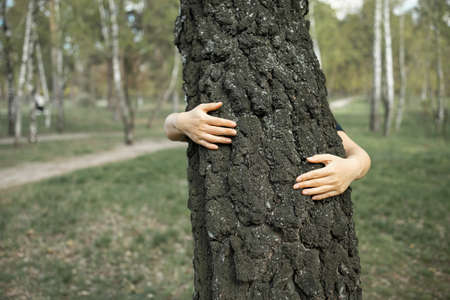 The girl stands behind and hugs a tree in the forest. The concept of the global problem of carbon dioxide and global warming. love for nature. Hands around a tree trunk.の写真素材
