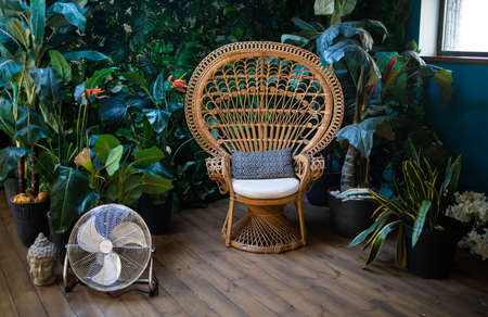Bohemian stylish interior with peacock armchair, green plants in flowerpots and vintage boho detailsの写真素材