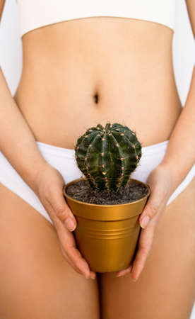 The girl holds a large cactus in the groin or bikini area. The concept of intimate hygiene, epilation and depilation, deep bikini shavingの写真素材